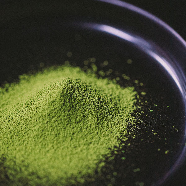 森田印 抹茶　1缶 30g